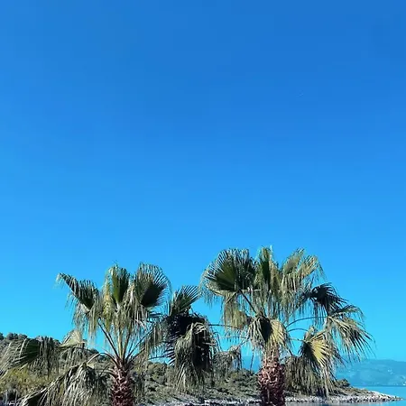 Xhibo Διαμέρισμα